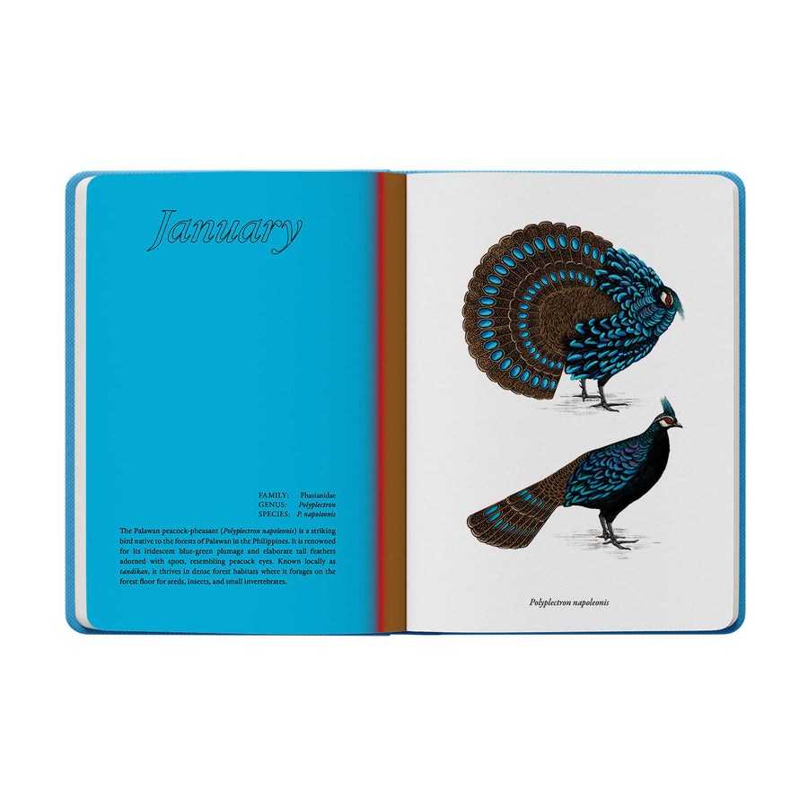 2025 Notebook Planner A5 The Flora & Fauna of the Philippines